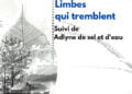 « Limbes qui tremblent suivi de Adlyne de sel et d’eau » : un voyage confidentiel au cœur de nos déboires, offert par le poète Adelson Élias