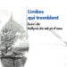 « Limbes qui tremblent suivi de Adlyne de sel et d’eau » : un voyage confidentiel au cœur de nos déboires, offert par le poète Adelson Élias