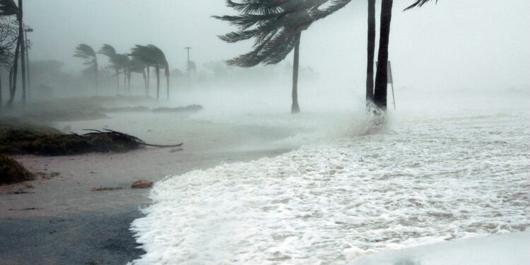 key west, florida, hurricane-81664.jpg