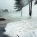 key west, florida, hurricane-81664.jpg