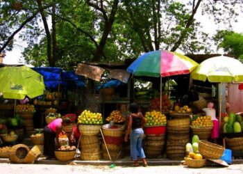 Haïti : plus de 5,7 millions de personnes en situation d’insécurité alimentaire aiguë, selon la CNSA