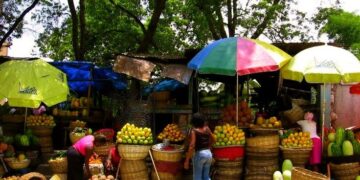 Haïti : plus de 5,7 millions de personnes en situation d’insécurité alimentaire aiguë, selon la CNSA